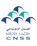 logo_cnss-removebg-preview