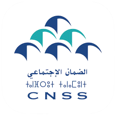 logo_cnss-removebg-preview